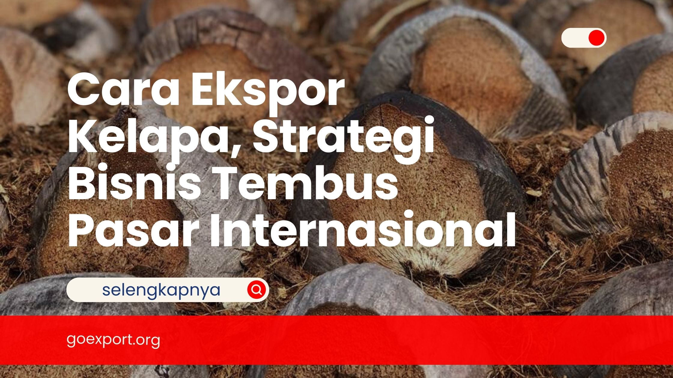 Cara Ekspor Kelapa, Strategi Bisnis Tembus Pasar Internasional