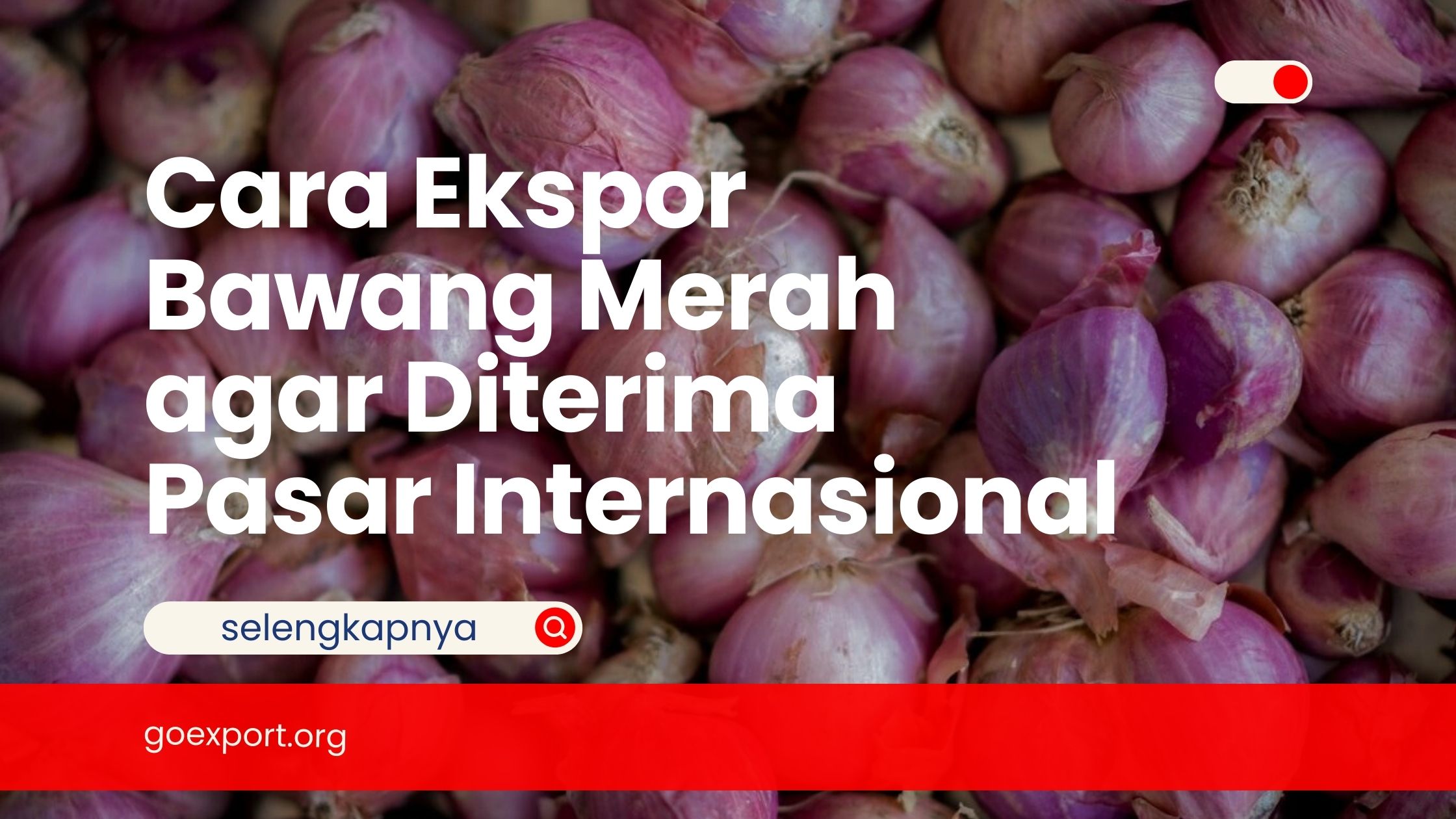 Cara Ekspor Bawang Merah agar Diterima Pasar Internasional