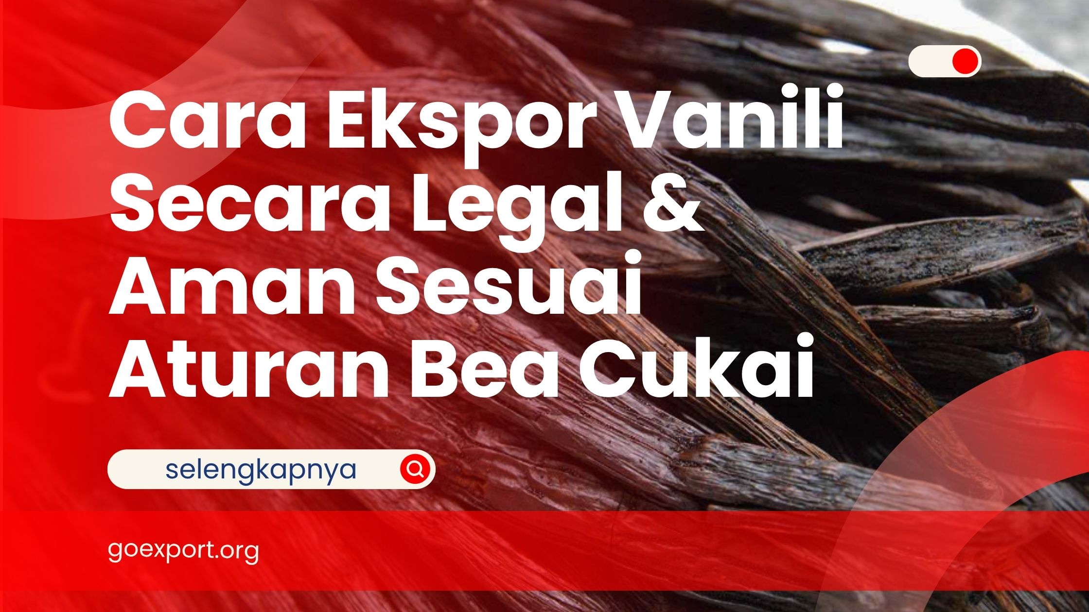 Cara Ekspor Vanili Secara Legal & Aman Sesuai Aturan Bea Cukai