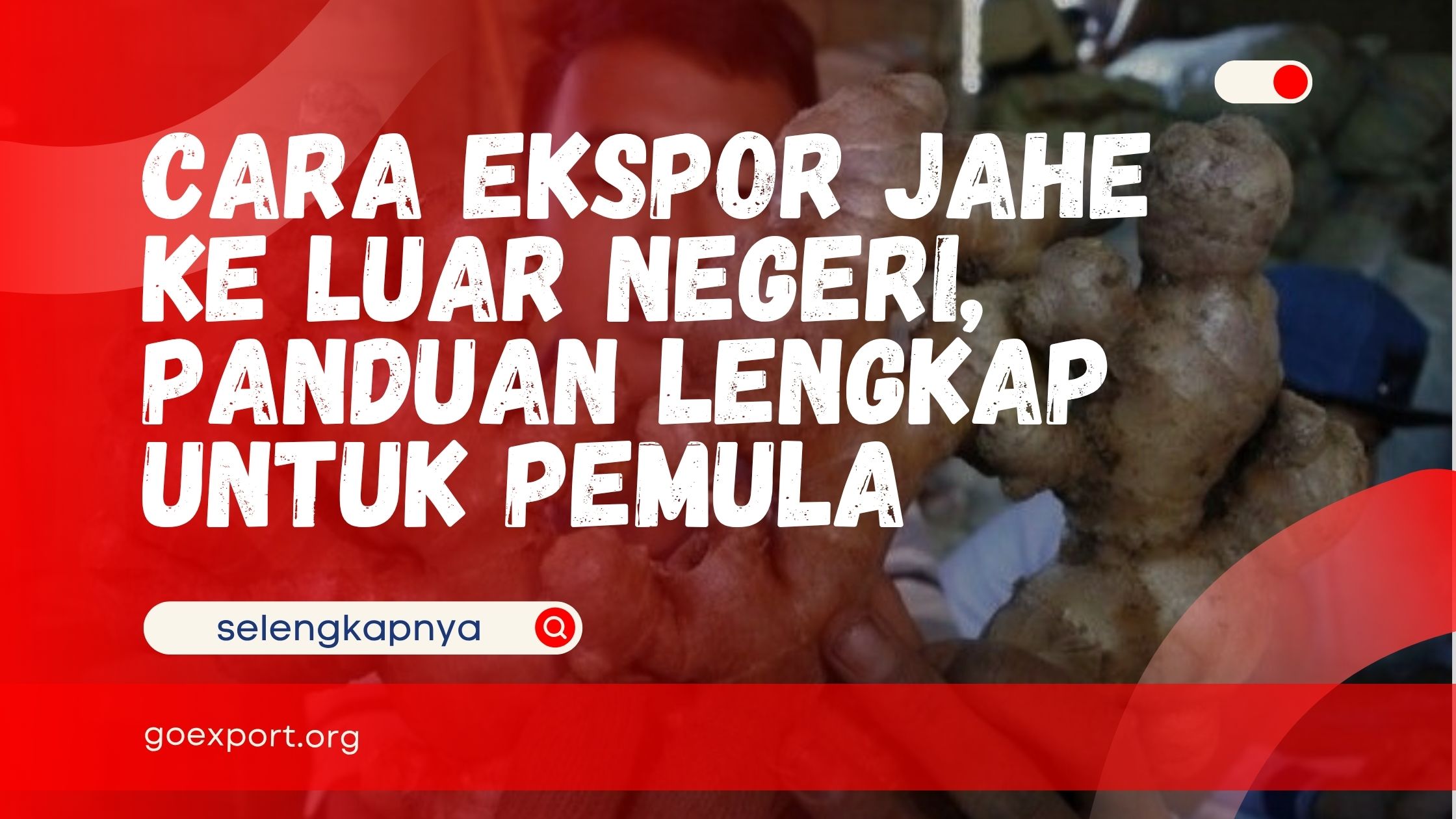 Cara Ekspor Jahe ke Luar Negeri, Panduan Lengkap untuk Pemula