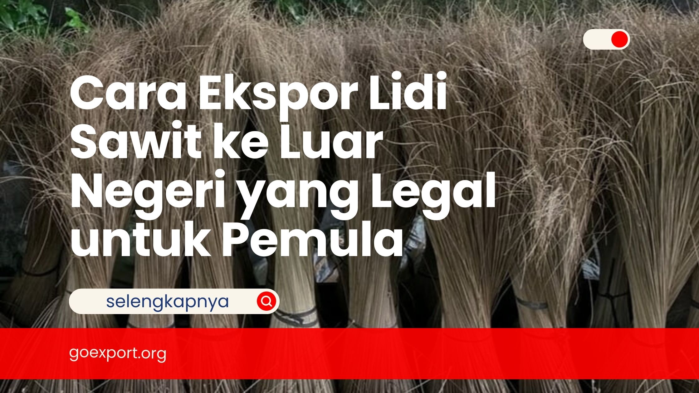 Cara Ekspor Lidi Sawit ke Luar Negeri yang Legal untuk Pemula